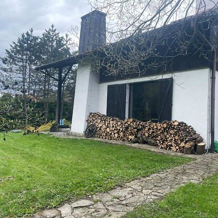 Dom Alpejski Krosniczanka Krosnica  Exteriér fotografie